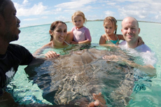 Grand Turk Stingray Swim cruise excursion
